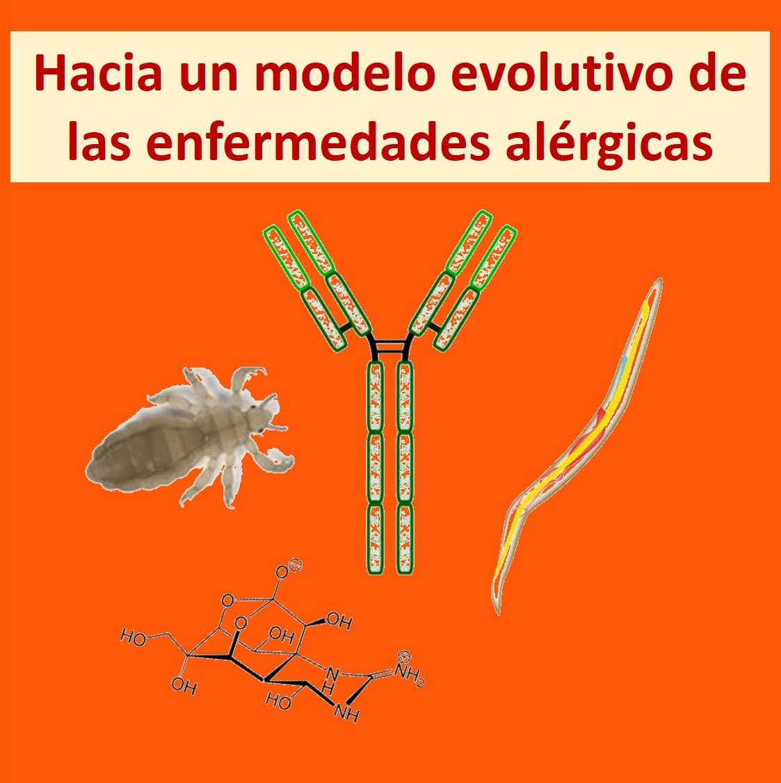 Alergia y evolución